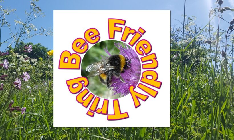 Get involved making Tring a Bee Town