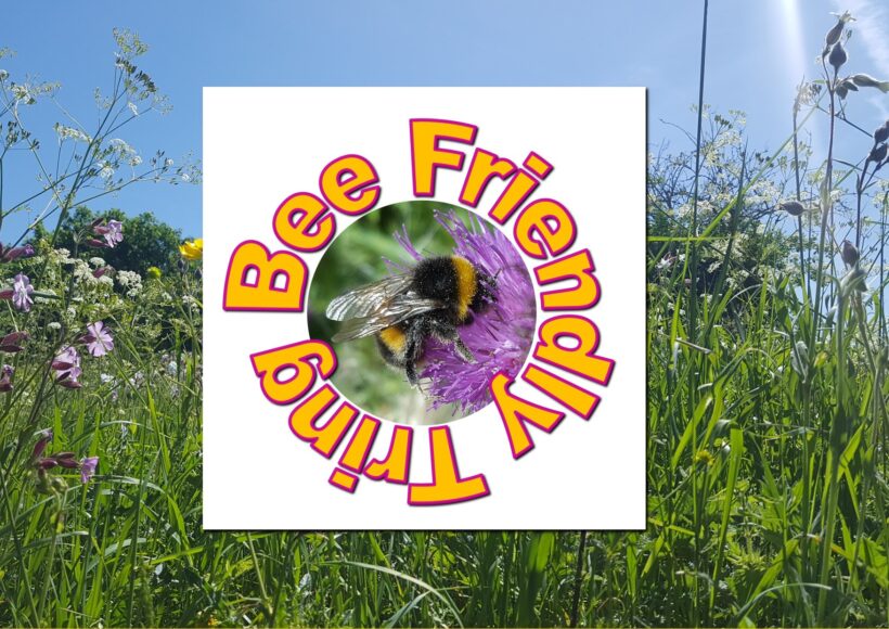 Get involved making Tring a Bee Town